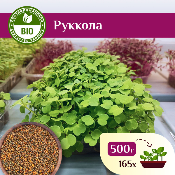 Руккола семена на микрозелень и салат 500г - купить с доставкой по ...