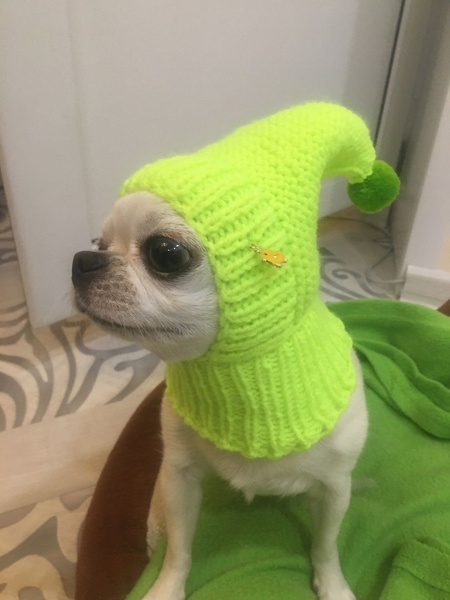 Шапочка для собак "ЛУЧИК" купить на OZON по низкой цене (1624807619)