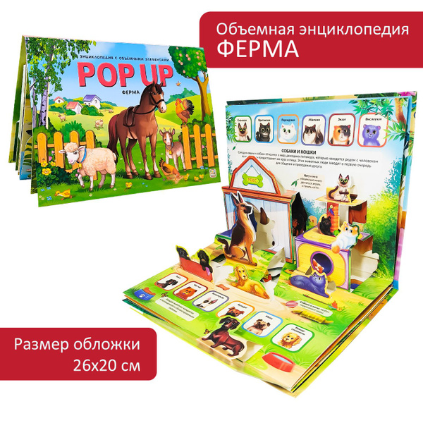 Детская энциклопедия с объемными картинками. Энциклопедия для детей POP ...