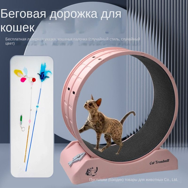 Многофункциональная бесшумная беговая дорожка для кошек купить на OZON ...
