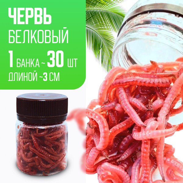 Искусственный червь для рыбалки 30 грамм - купить по доступной цене в ...