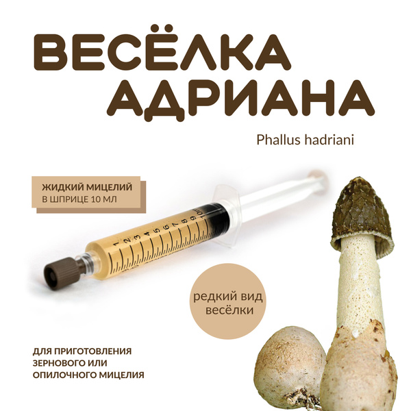 Жидкий мицелий Весёлки Адриана - купить по выгодным ценам в интернет ...