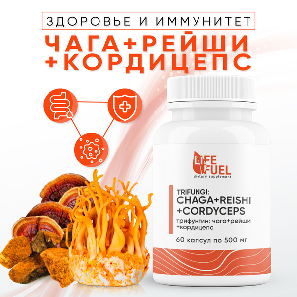 ЧАГА РЕЙШИ КОРДИЦЕПС экстракт грибов, комплекс для иммунитета и ЖКТ 60 ...