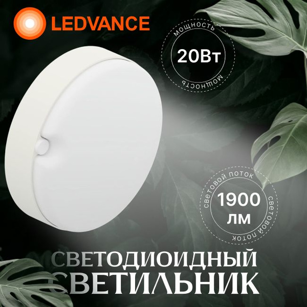 Светильник светодиодный 20Вт Eco Class LEDVANCE - 1шт - купить с ...