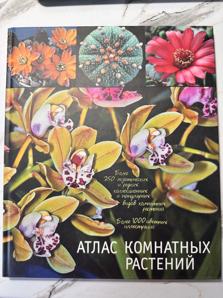 Атлас комнатных растений | Гапон Виктор Николаевич - купить с доставкой ...