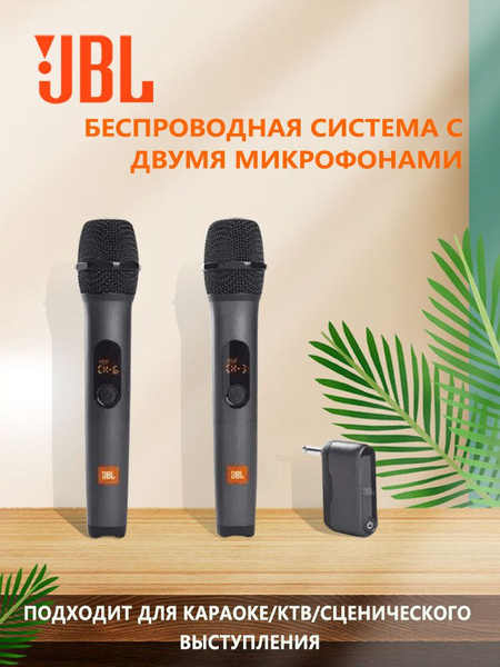Микрофон универсальный Беспроводной микрофон (2 беспроводных микрофона ...