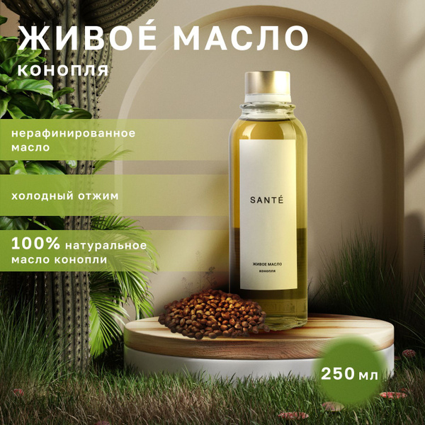 Масло конопляное холодного отжима 250мл купить на OZON по низкой цене ...