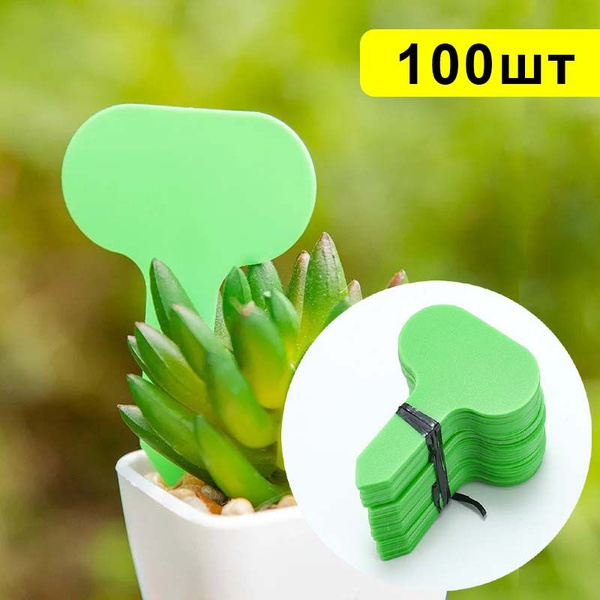 Таблички садовые,5см,100шт купить на OZON по низкой цене (1956163338)