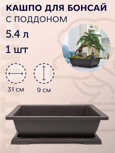 Кашпо прямоугольное для суккулентов и бонсай с поддоном купить на OZON ...