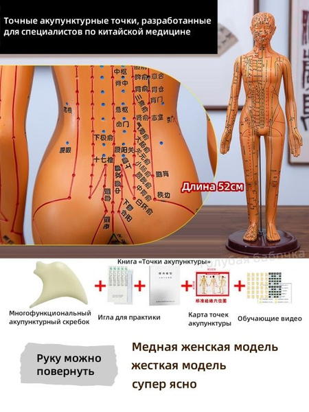 Женская акупунктурная модель, 52см, с атлас акупунктурных точек и ...