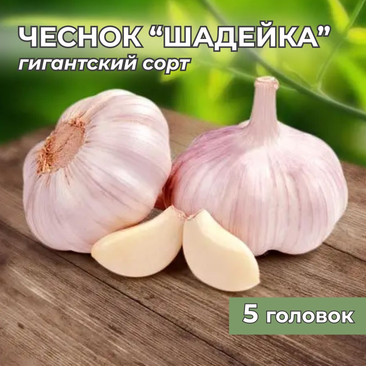 Гигантский чеснок...