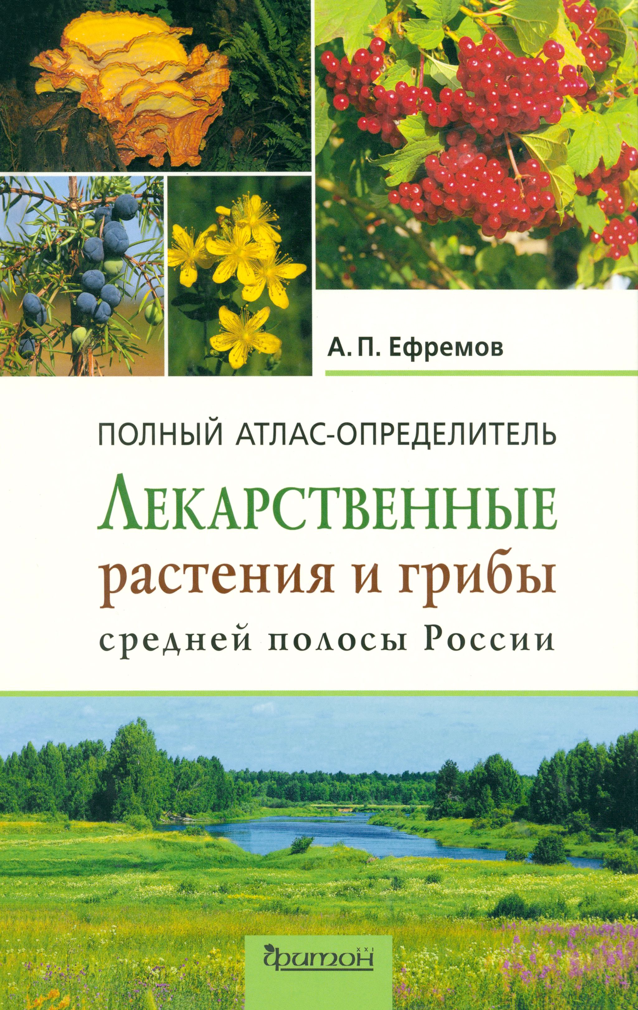 Определитель флоры. Атлас определитель лекарственных растений. Книга определитель лекарственных растений.