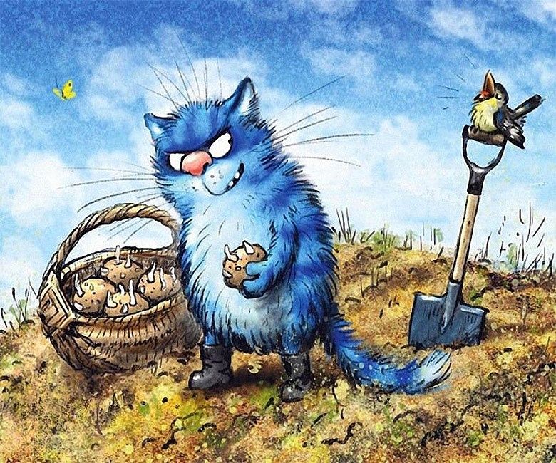 Синие коты