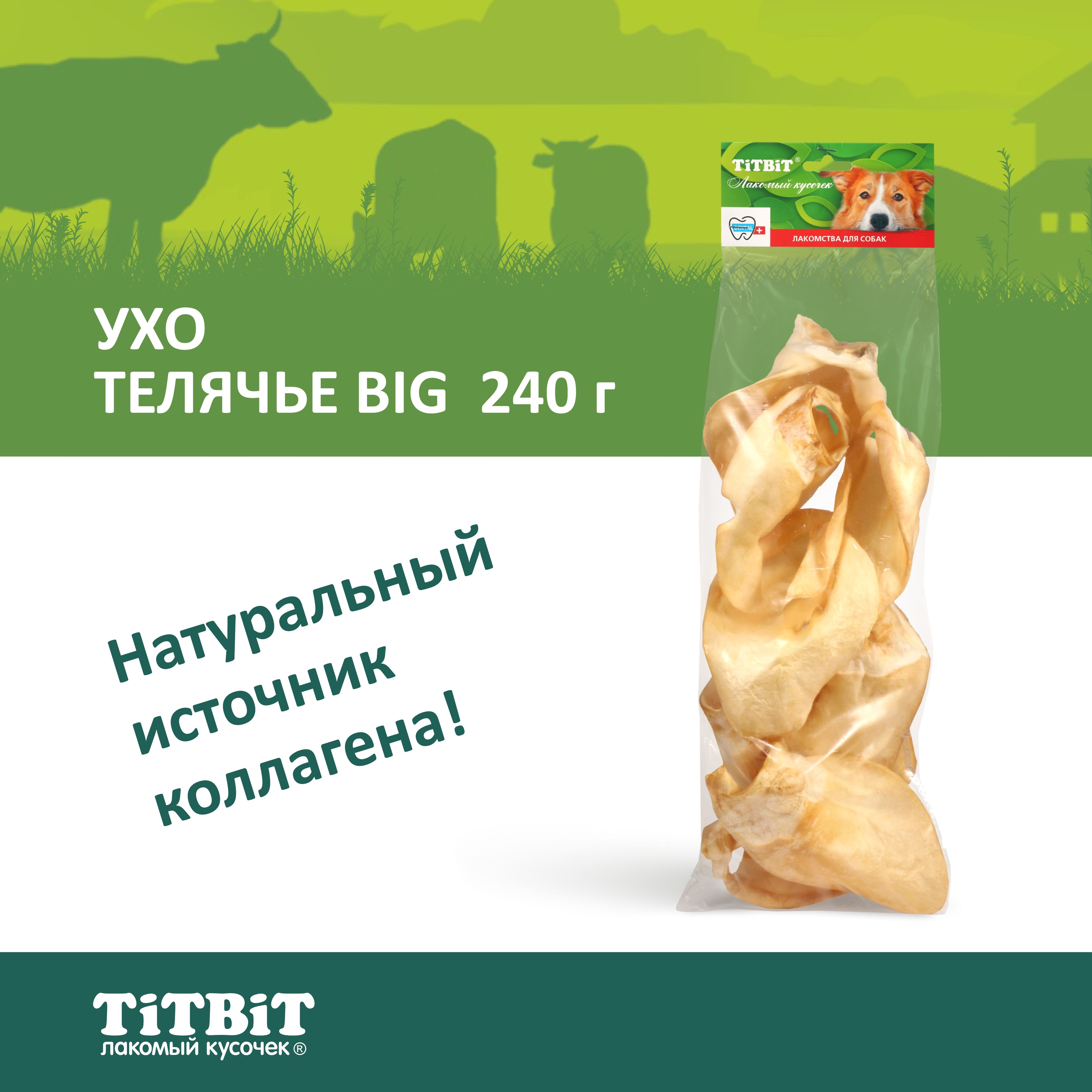 Лакомство для собак TiTBiT Ухо телячье BIG - мягкая упаковка