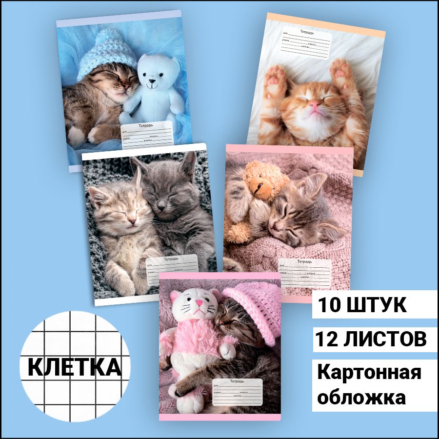 Тетради 12...