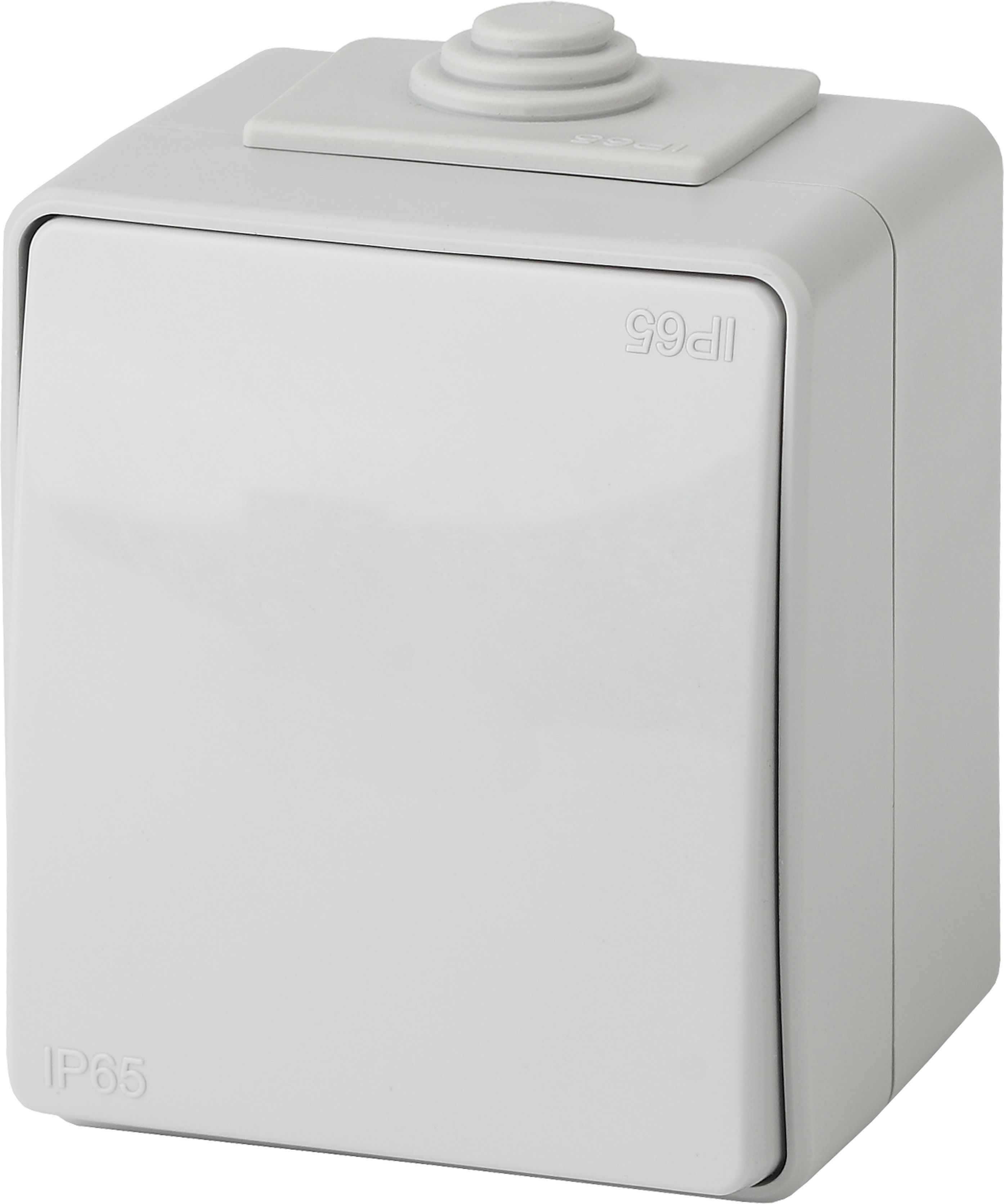 Рубильник ip67 iek. Выключатель ip65 iek. Концевой выключатель иэк. Выключатель путевой вп. Выключатель герметичный открытой установки ip65.