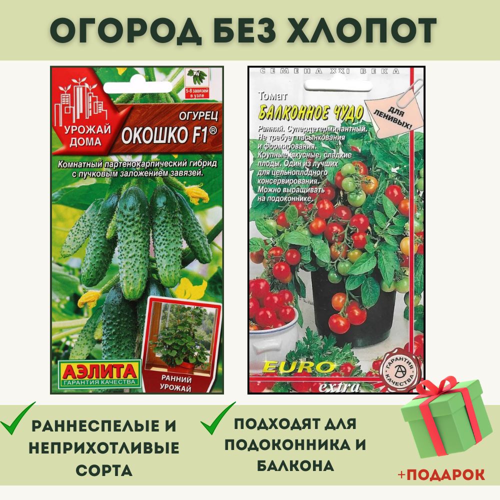 Огурцы Балконное Чудо Купить Семена