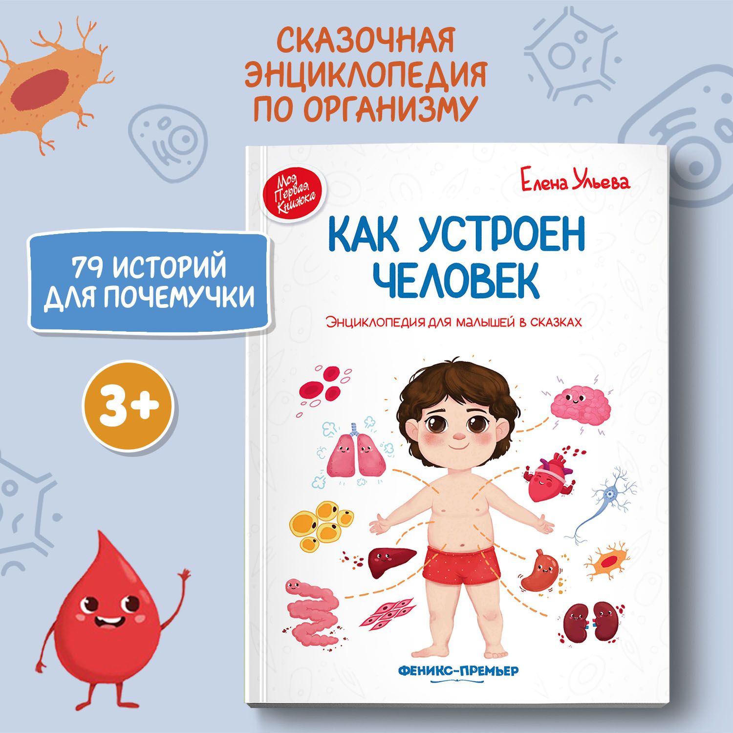 Как устроен человек. Энциклопедия для малышей в сказках (мягкая обложка) |  Ульева Елена Александровна - купить с доставкой по выгодным ценам в  интернет-магазине OZON (254792951)