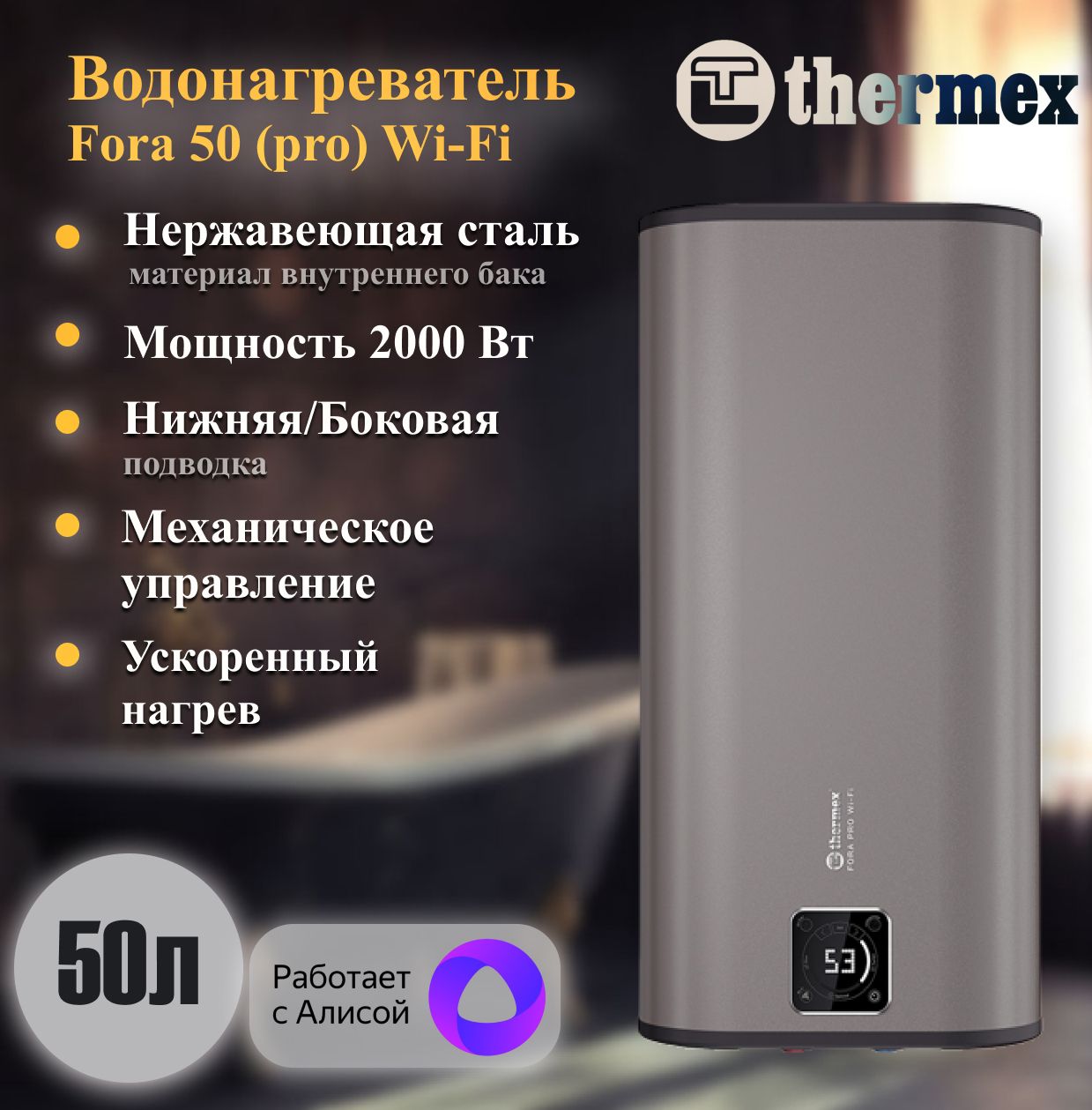 Накопительный электрический водонагреватель Thermex Fora 50 (pro) Wi-Fi