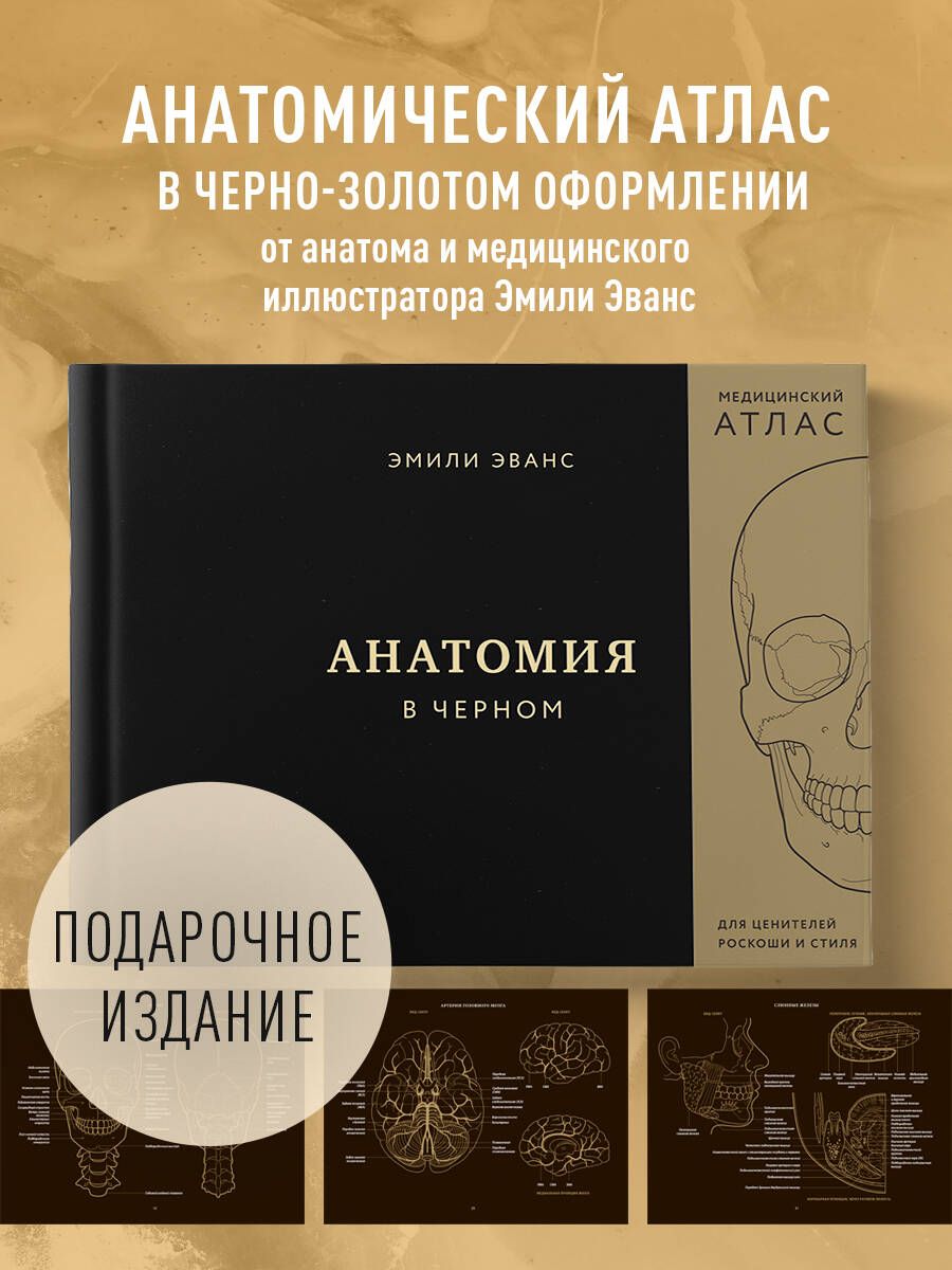 Анатомия в черном. Медицинский атлас для любителей роскоши и стиля - купить  с доставкой по выгодным ценам в интернет-магазине OZON (1556020747)