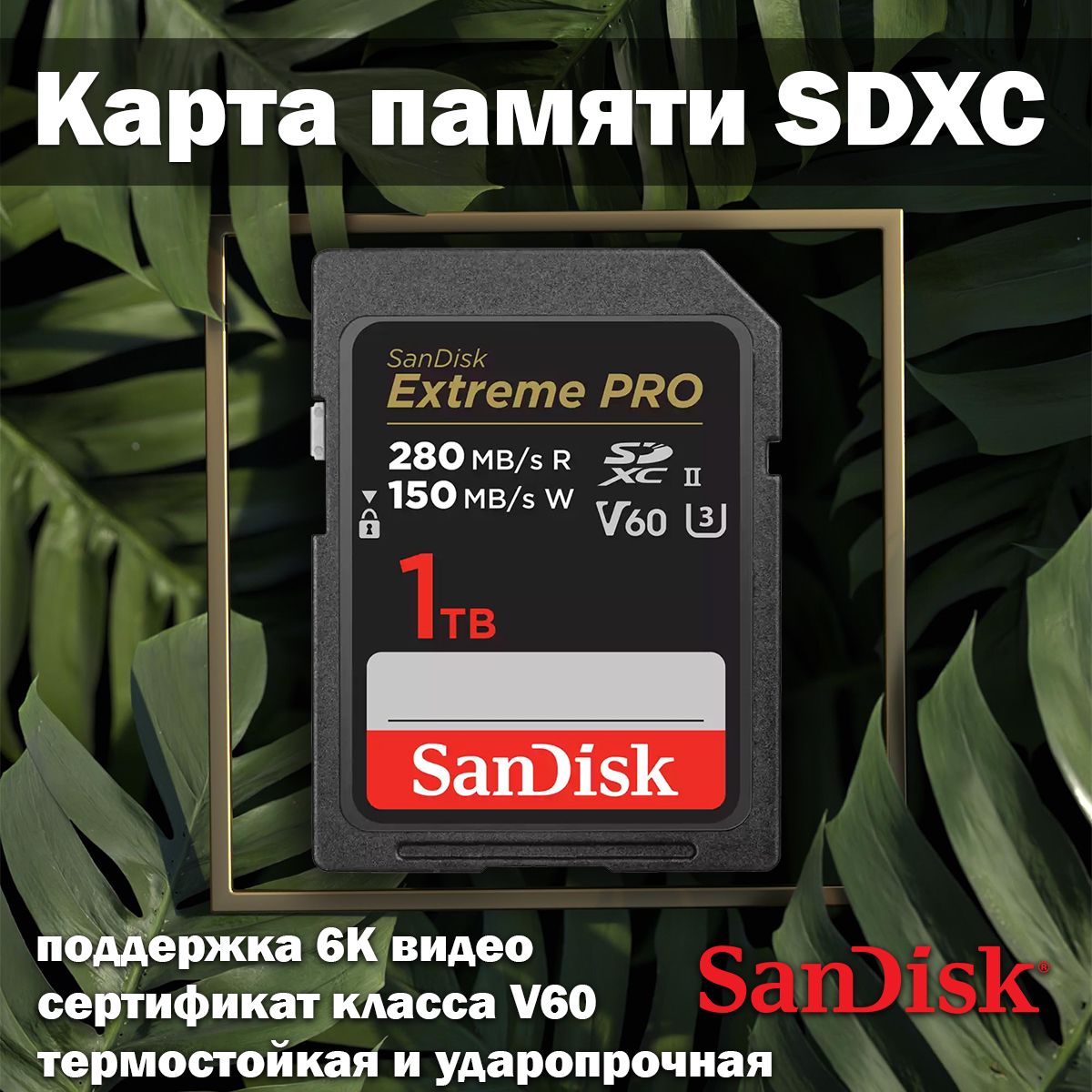 Карта памяти для фотоаппарата SanDisk SDXC Extreme PRO V60 U3 1TB - флешка  1 тб - купить с доставкой по выгодным ценам в интернет-магазине OZON  (1554749378)