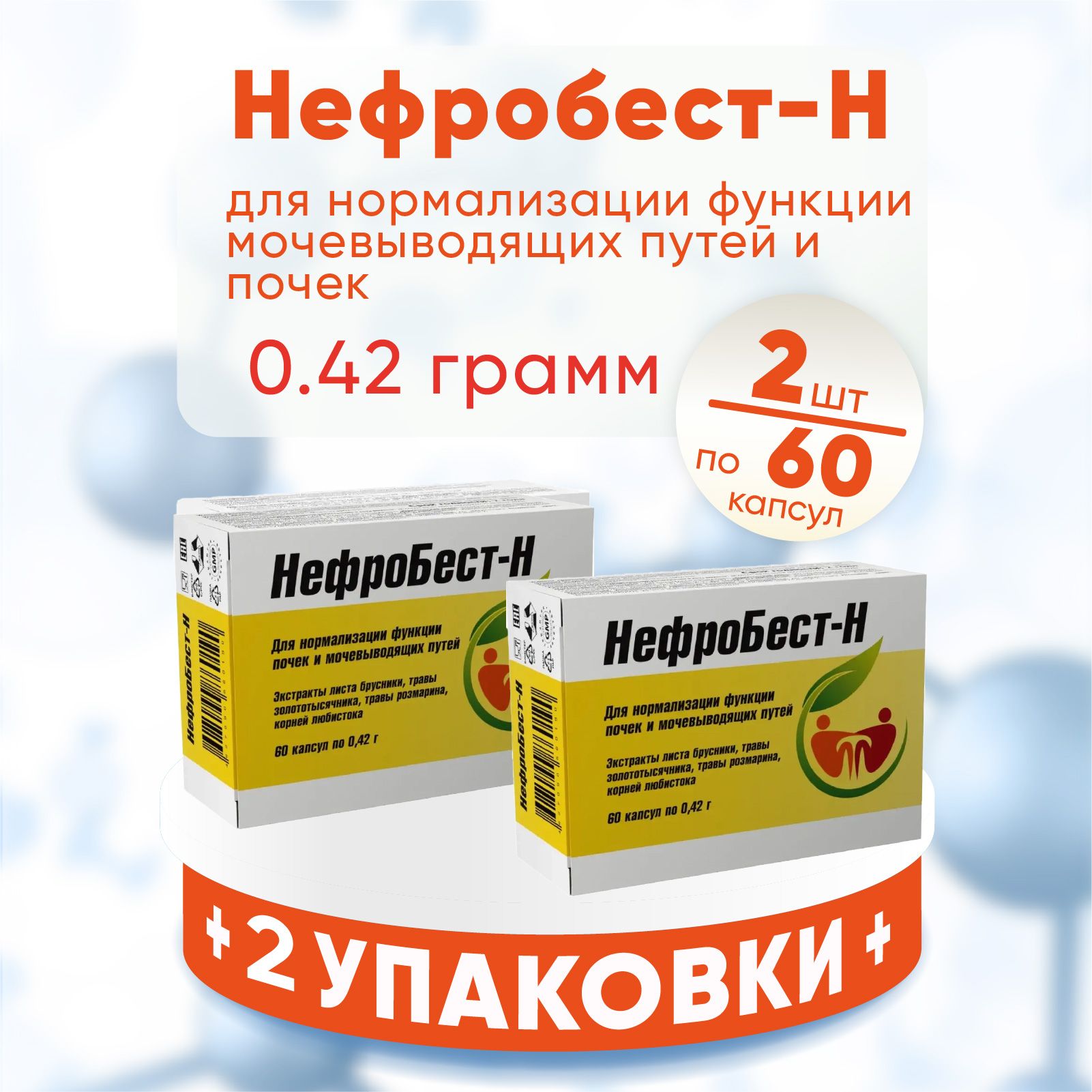 Нефробест-Н капсулы, 2 упаковки по 60 шт 0,42 гр, КОМПЛЕКТ ИЗ 2х упаковок