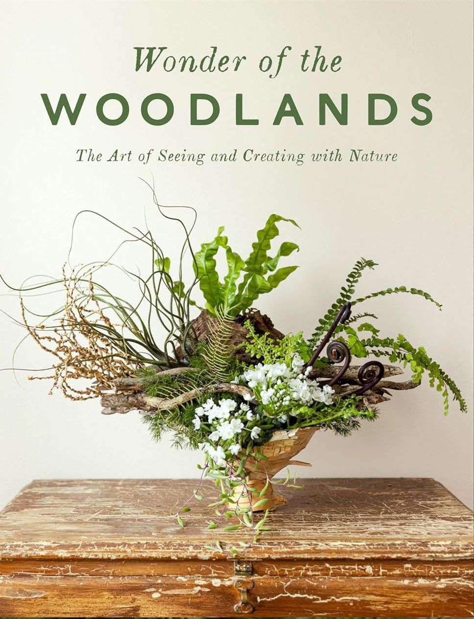 Wonder of the Woodlands: The Art of Seeing and Creating with Nature