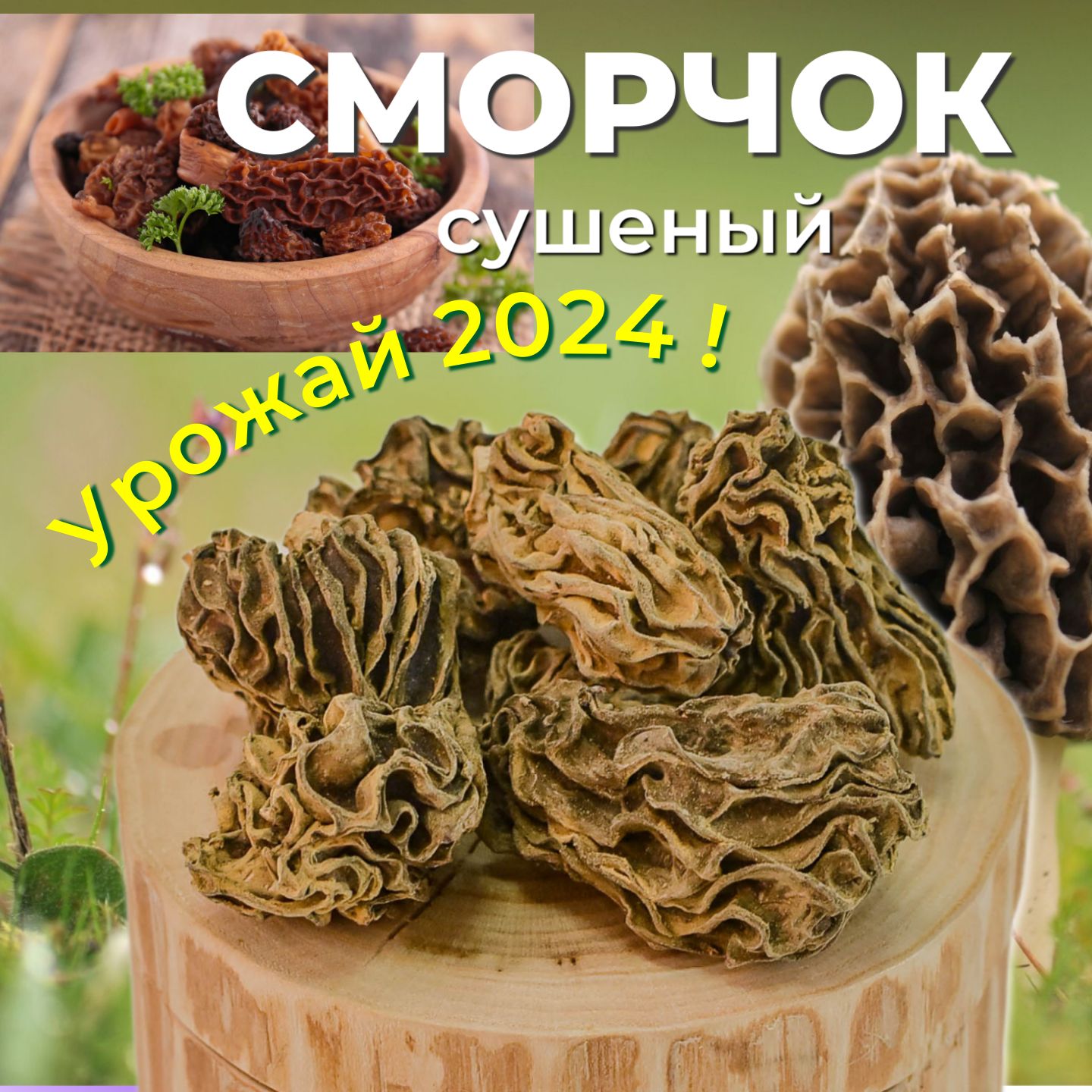 Грибы сушеные Сморчки 50г. 1шт.