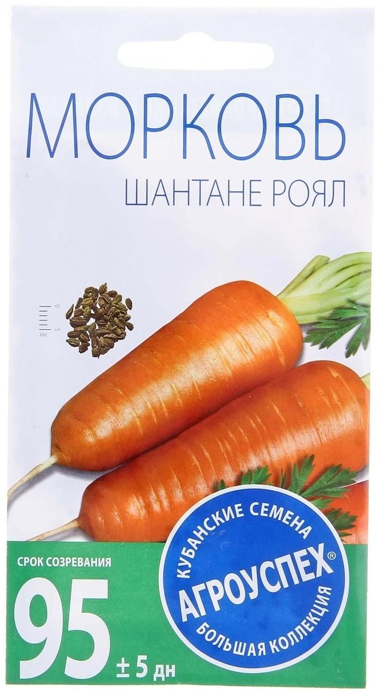 Огурцы шантане Огурцы шантане