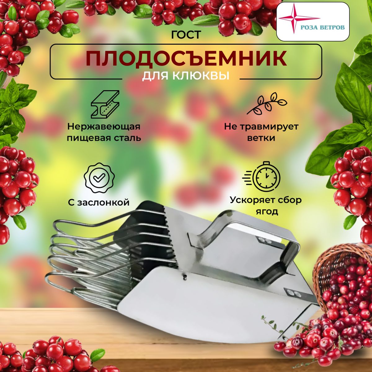 Роза ветров...