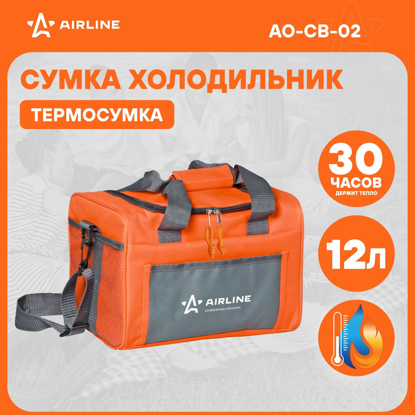 Сумка холодильник термосумка 12 л, 30*21*21 см AIRLINE AO-CB-02