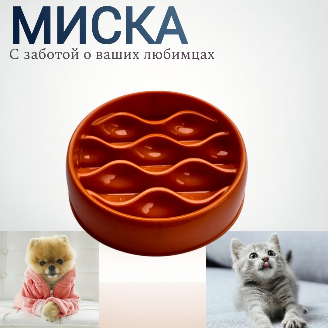 Миска для щенят и котят пластиковая. Коричневый цвет