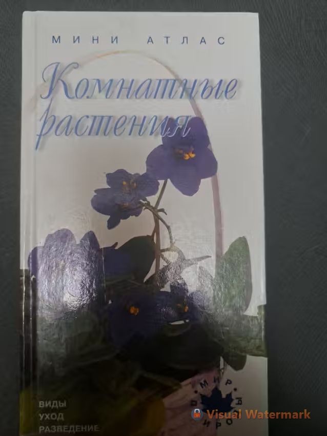 Комнатные растения