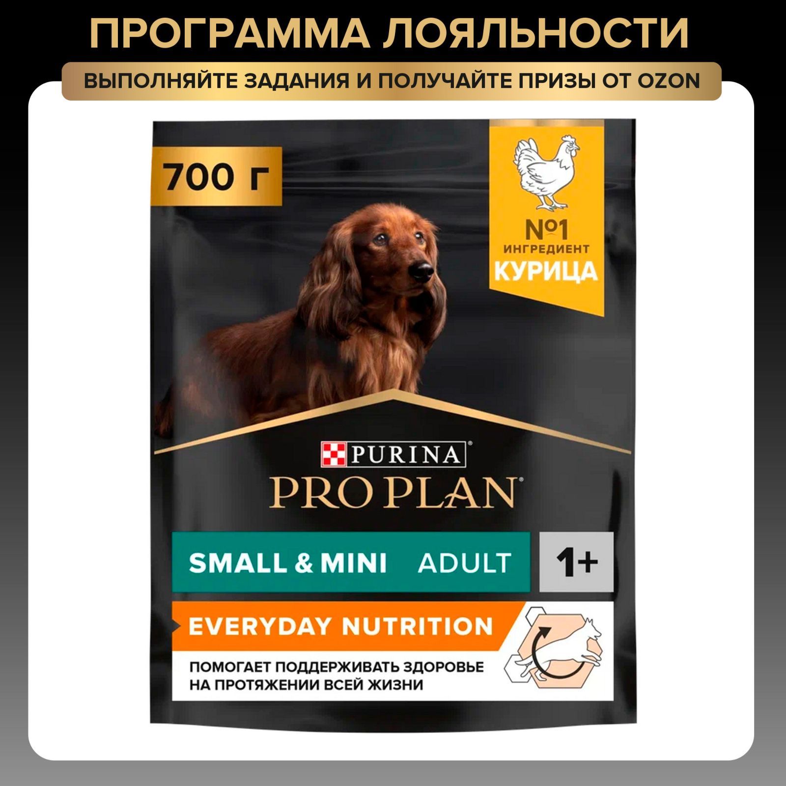 Сухой корм PRO PLAN Everyday Nutrition для взрослых собак мелких и карликовых пород, с курицей, 700 г