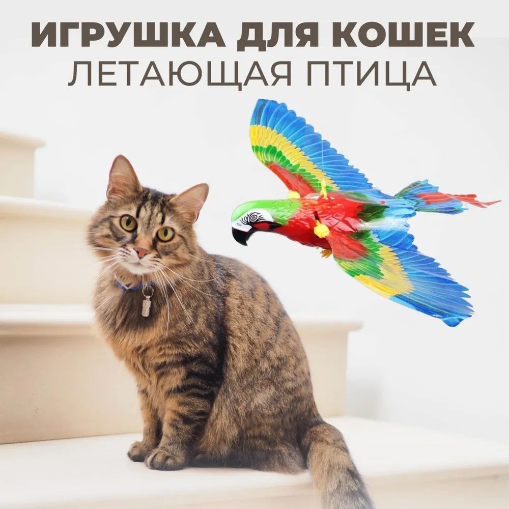 Кот-игрушка,Птица,котораяможетлетать