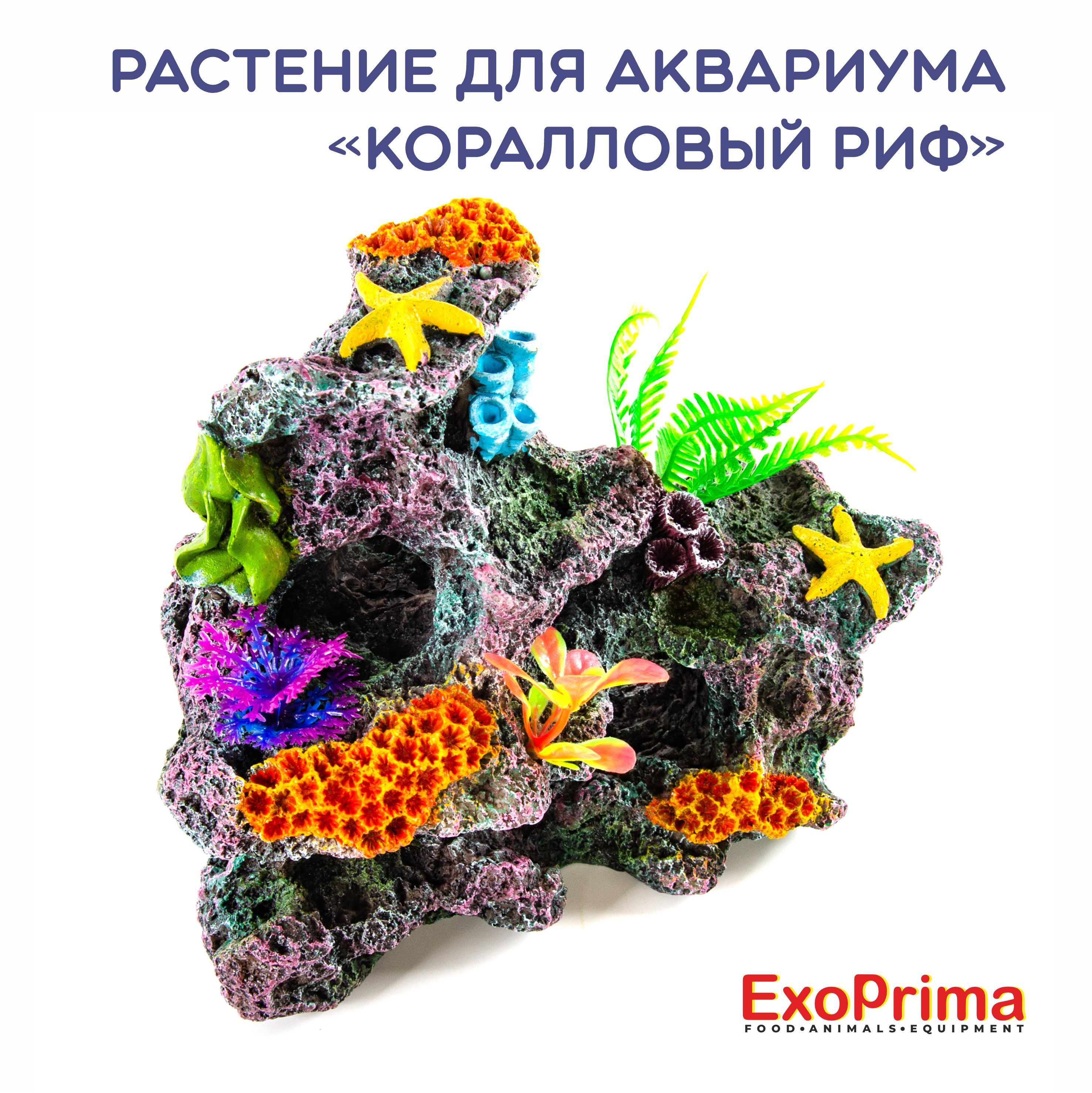 Декорация для аквариума EXOPRIMA "Коралловый риф", 17х10х15см