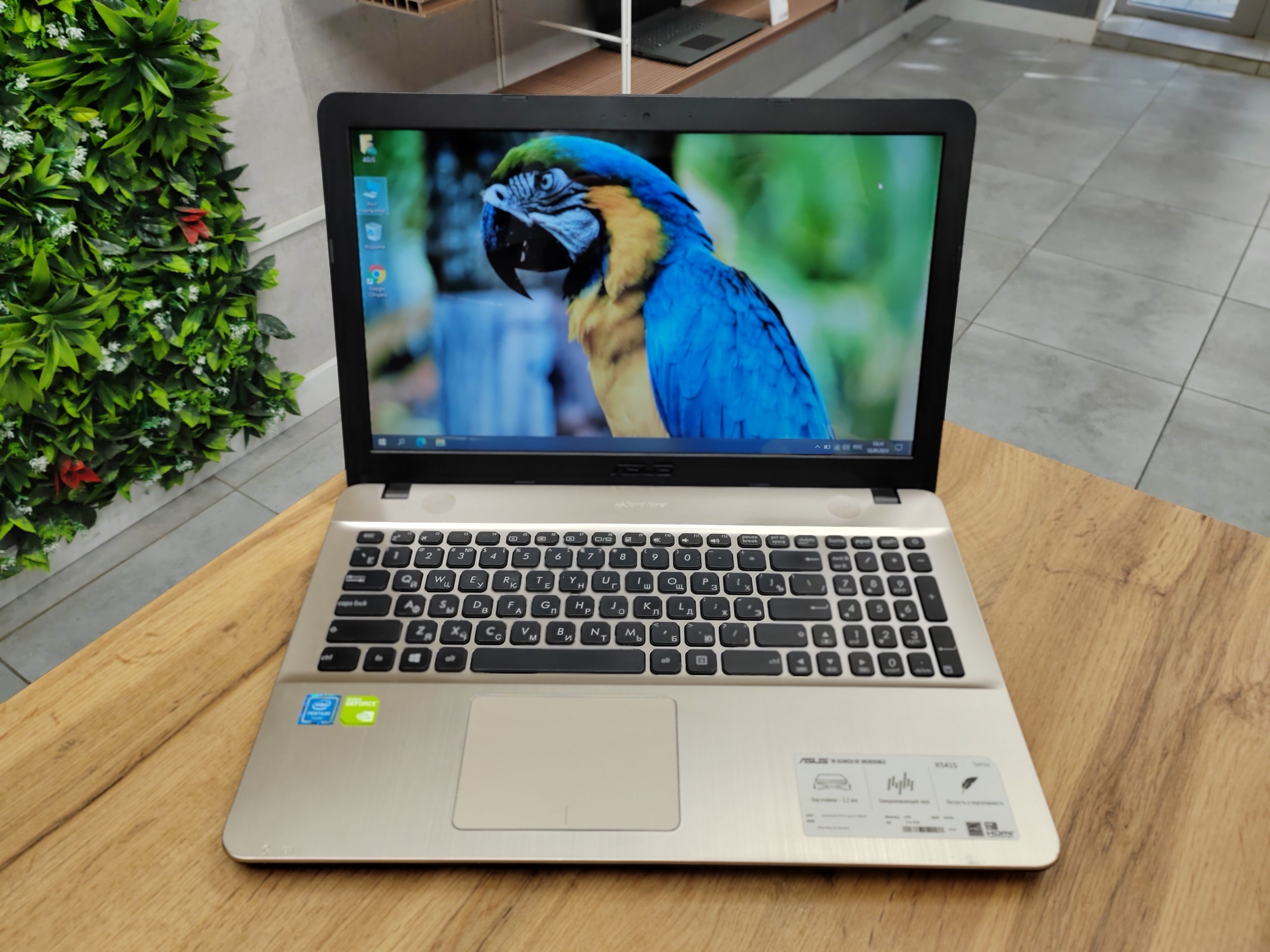 ASUSVivoBookX541SНоутбук15.6",IntelPentiumN3710,RAM4ГБ,SSD256ГБ,NVIDIAGeForce920M(2Гб),WindowsPro,коричневый,горчичный,Русскаяраскладка