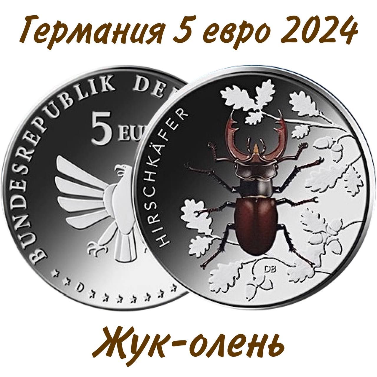 Германия 5 евро 2024 "Чудесный мир насекомых - Жук-олень" UNC