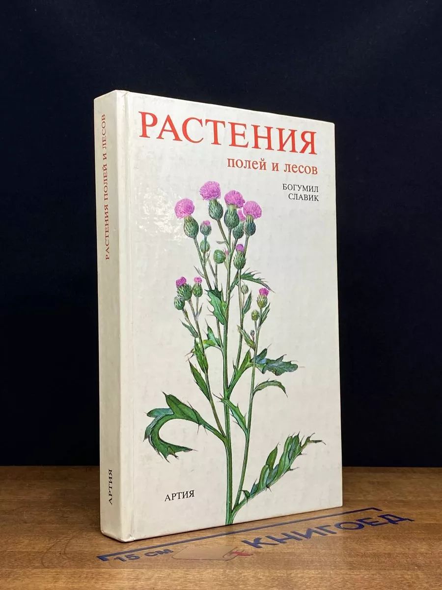 Растения полей и лесов