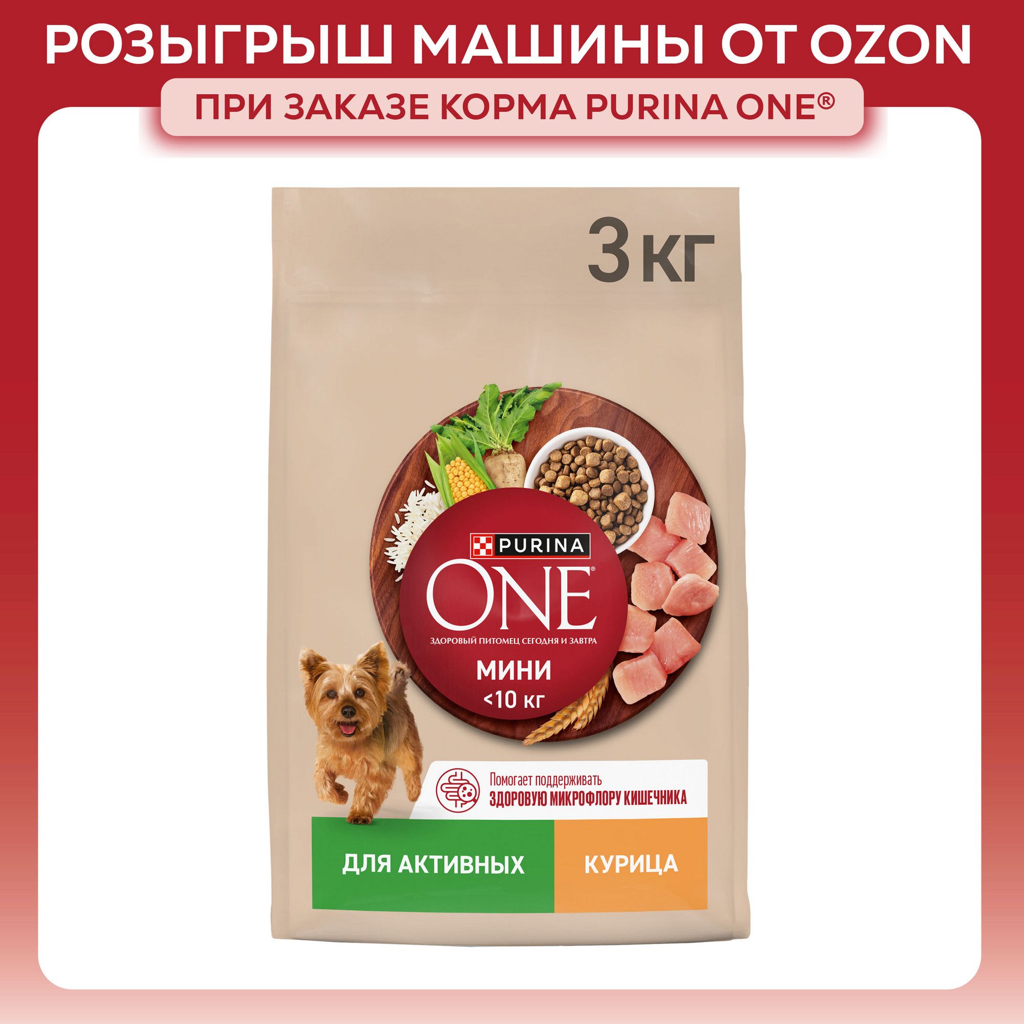 Сухой корм для собак PURINA ONE МИНИ мелких и карликовых пород при активном образе жизни, с курицей и рисом, 3 кг