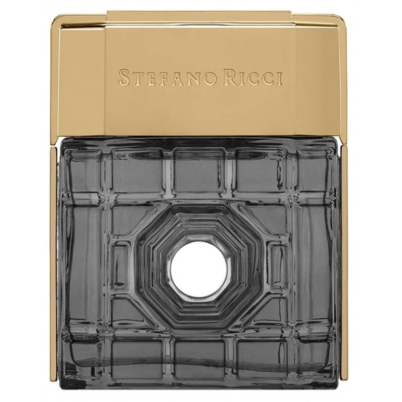 STEFANO RICCI Dubai 100 мл парфюмерная вода унисекс Stefano Ricci купить