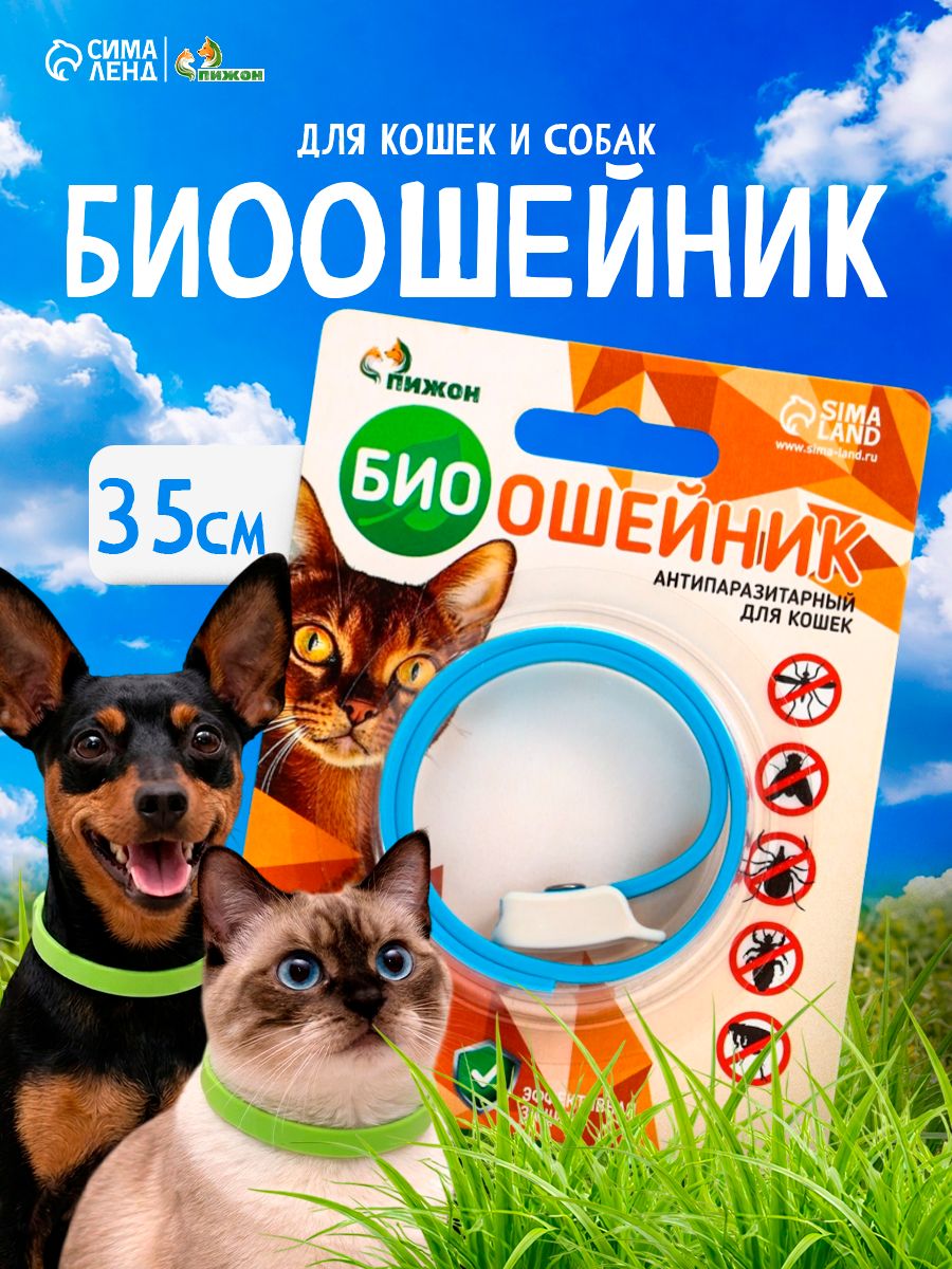 Ошейник для кошек / Эффективная защита от блох и клещей, синий, 35 см