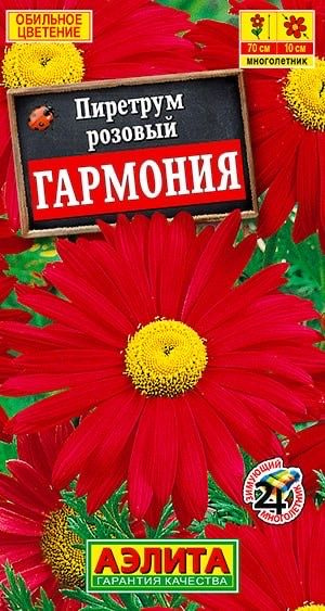 Пиретрумы, Пиретрум Агрофирма Аэлита Цветы Мир семян - купить по ...