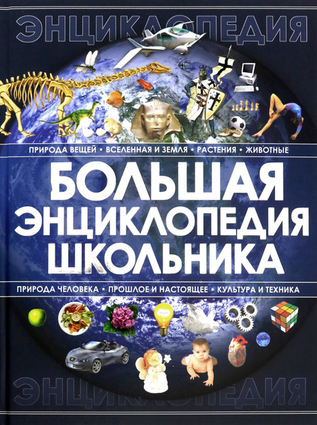 Большая энциклопедия школьника | Спектор Анна Артуровна - купить с ...