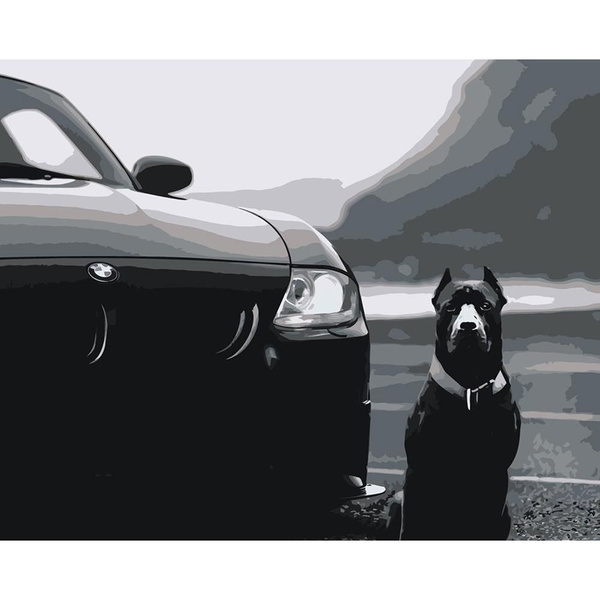 Картина по номерам Цветное на холсте с подрамником "Машина BMW и собака ...