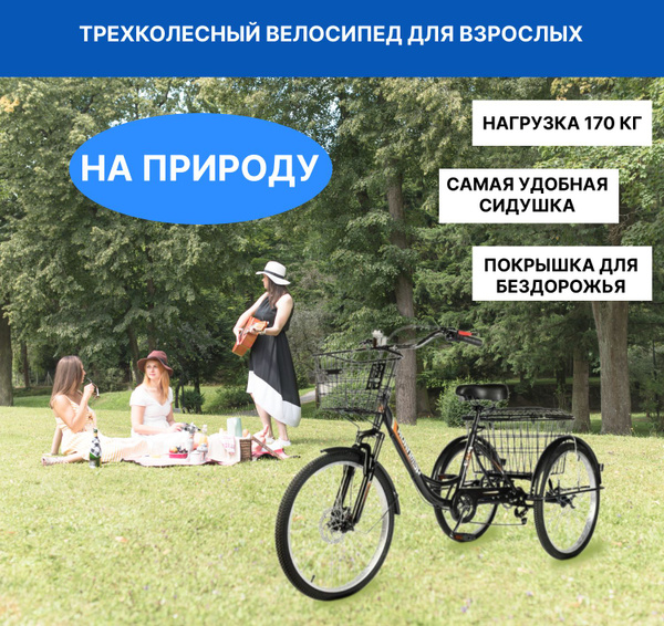 Трехколесный велосипед для взрослых РВЗ Чемпион черный - купить по ...