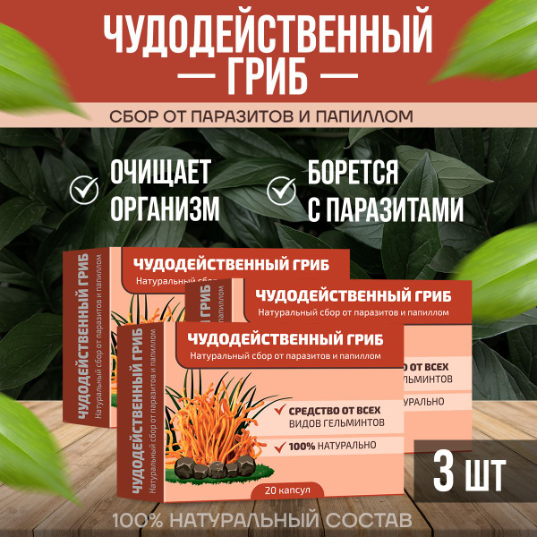 Антипаразитарный комплекс Чудодейственный гриб 20 капсул - купить с ...