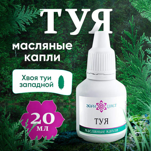 Масло туи для носа купить на OZON по низкой цене (1467091689)