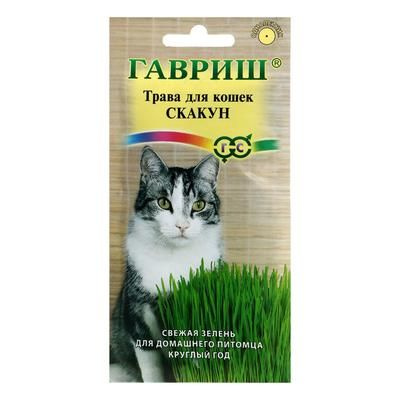 Семена Трава для кошек "Скакун", 10 г - купить с доставкой по выгодным ...