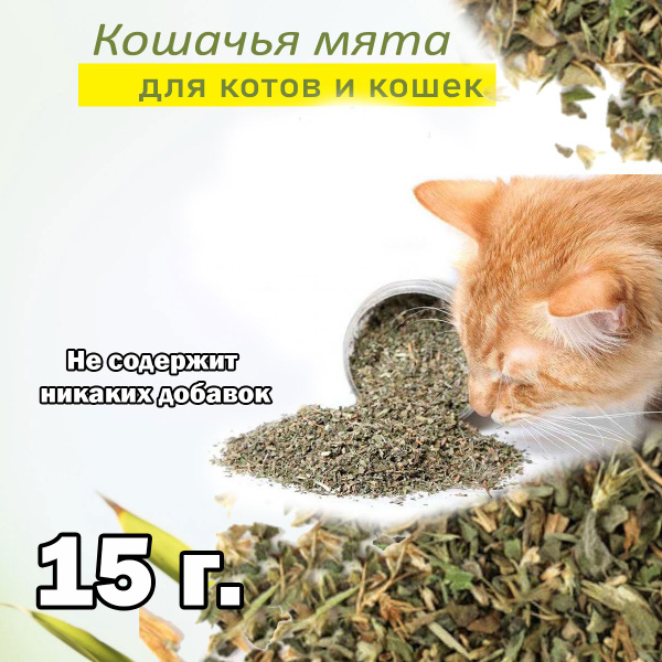 Кошачья мята сушеная лакомство для кошек.Трава для кошек. Для приучения ...